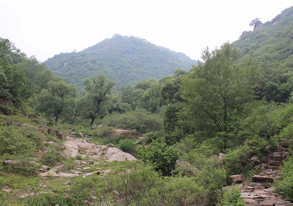 遼寧海棠山國家森林公園