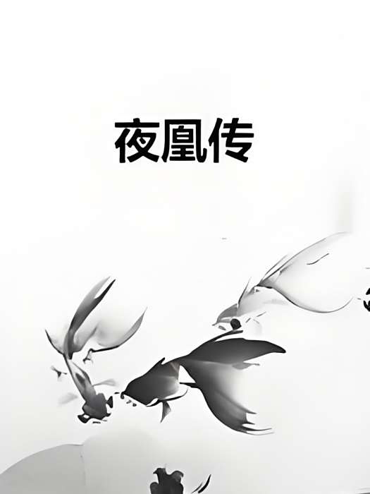 夜凰傳 夜凰傳