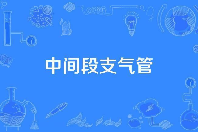 中間段支氣管 中間段支氣管