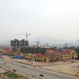 姚村(山西運城市臨猗縣牛杜鎮下轄村) 姚村(山西運城市臨猗縣牛杜鎮下轄村)