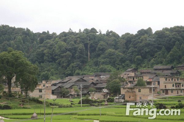 揚拱村 揚拱村
