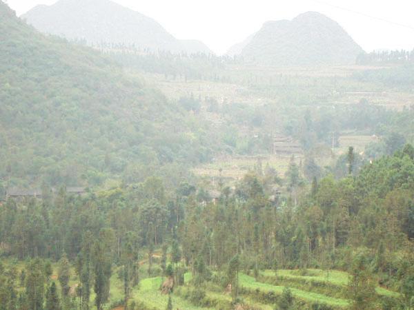 大毛草窪村 大毛草窪村