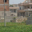 蘇坑村(福建省惠安縣張坂鎮蘇坑村)