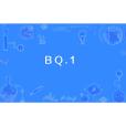 BQ.1 BQ.1