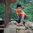 鄉村少年 鄉村少年