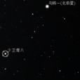 少衛增八 少衛增八
