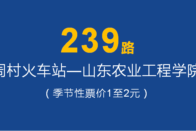 淄博公交239路 淄博公交239路