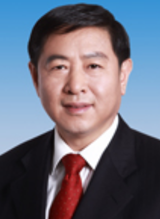 王金力(國家能源投資集團有限責任公司副總經理)