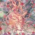 薔薇紀事1 薔薇紀事1