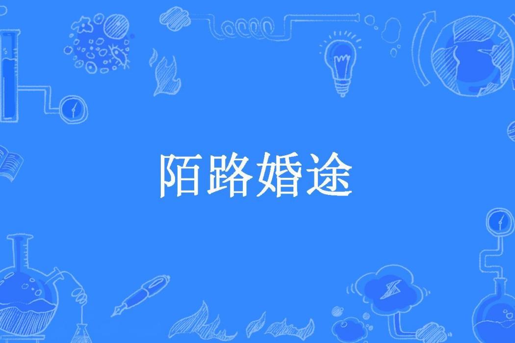 陌路婚途(淫蕩的瓶子創作的現代言情小說) 陌路婚途(淫蕩的瓶子創作的現代言情小說)