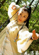 風滿樓(2004年張敏吳奇隆主演電視劇)