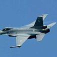 RF-16MLU戰鬥機 RF-16MLU戰鬥機