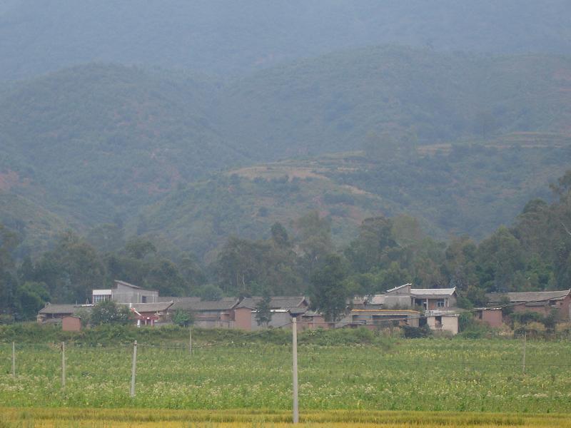 張官沖村 張官沖村