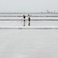 海水資源 海水資源