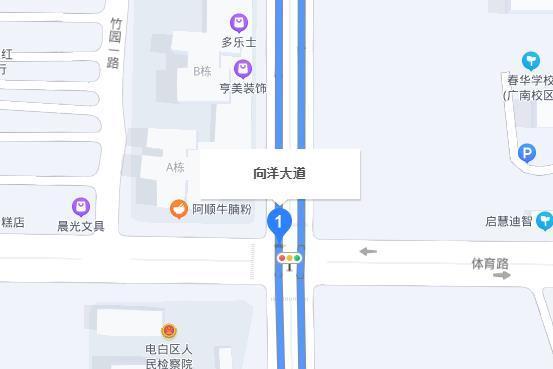 向洋大道 向洋大道