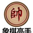 象棋高手 象棋高手