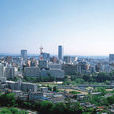 崎玉市 崎玉市