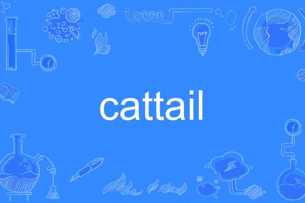 cattail cattail