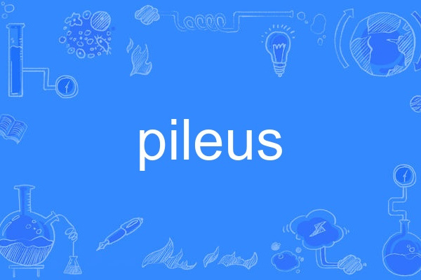 pileus pileus