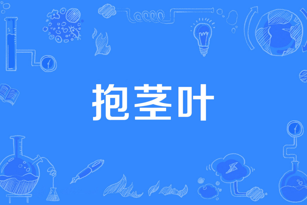 抱莖葉 抱莖葉