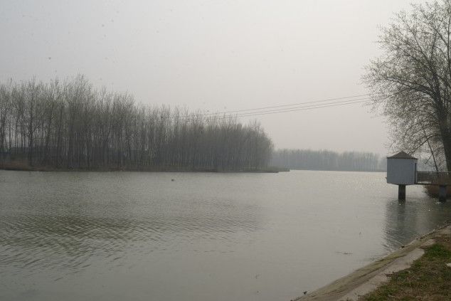 龍溝遺址 龍溝遺址