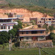 洋中村(福建省泉州安溪縣金谷鎮洋中村) 洋中村(福建省泉州安溪縣金谷鎮洋中村)