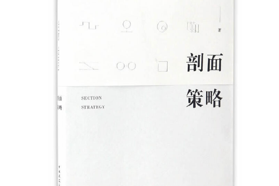 剖面策略 剖面策略
