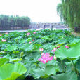 四美塘公園 四美塘公園
