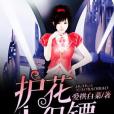 護花小保鏢 護花小保鏢