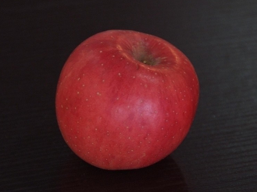 雙陽紅 雙陽紅
