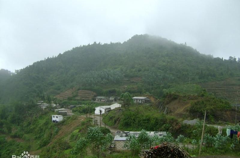 丁龍村(雲南綠春縣大水溝鄉下轄村) 丁龍村(雲南綠春縣大水溝鄉下轄村)