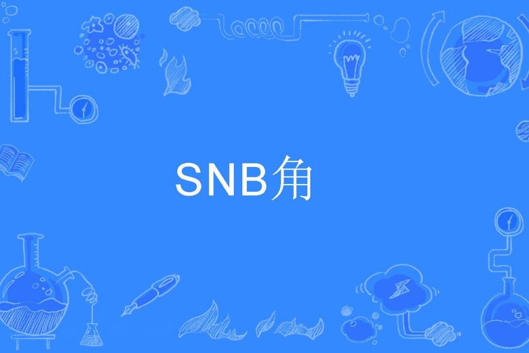 SNB角 SNB角