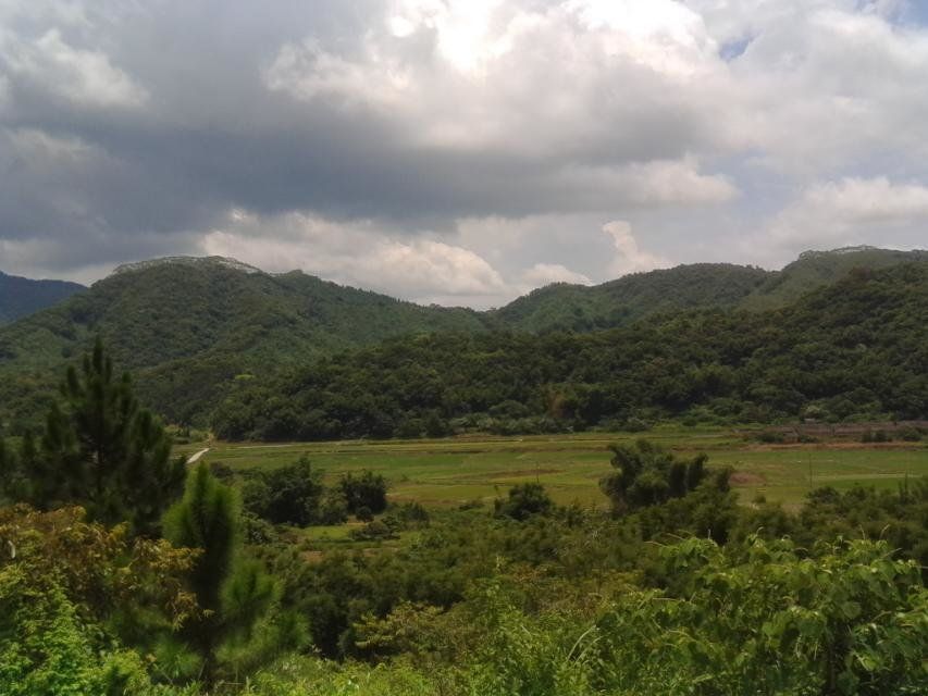 大陂寨村 大陂寨村