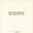 驚龍神功 驚龍神功