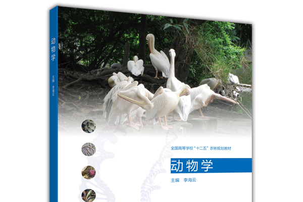 動物學(2014年高等教育出版社出版的圖書) 動物學(2014年高等教育出版社出版的圖書)