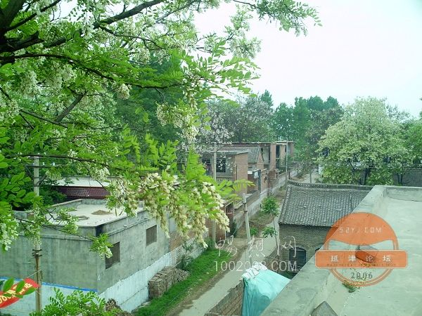 繩屯村 繩屯村
