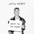 What Do You Mean?(What Do You Mean)