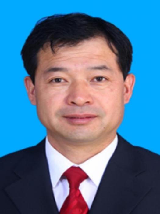 孫向東(陝西省榆林市定邊縣監委委員) 孫向東(陝西省榆林市定邊縣監委委員)