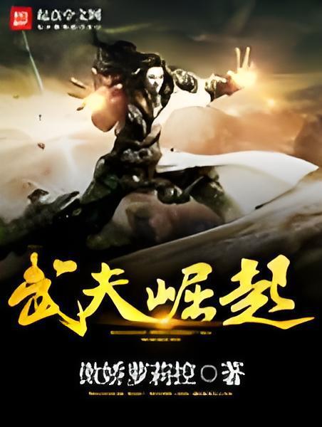 武夫崛起 武夫崛起