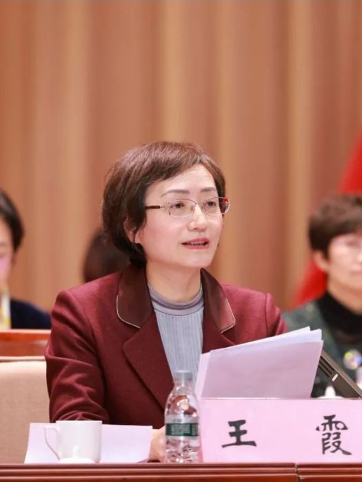 王霞(黑龍江省婦聯黨組成員、副主席) 王霞(黑龍江省婦聯黨組成員、副主席)