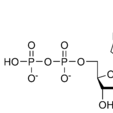 二磷酸鳥苷(GDP（二磷酸鳥苷）)