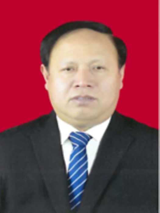 王志德(河南省南陽市臥龍區人民政府副區長) 王志德(河南省南陽市臥龍區人民政府副區長)