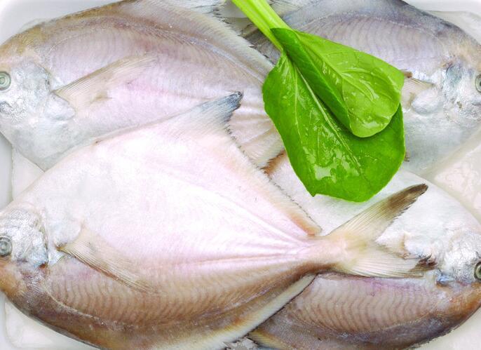 凍鯧魚片 凍鯧魚片