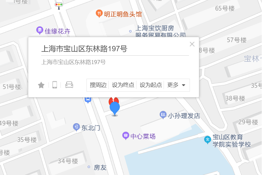 東林路197號 東林路197號
