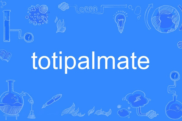 totipalmate totipalmate