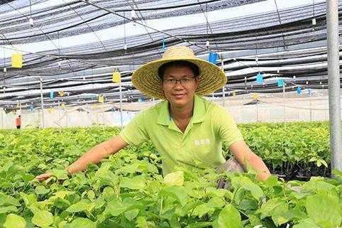 鄧福斌 鄧福斌