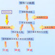 非甾體抗炎藥 非甾體抗炎藥