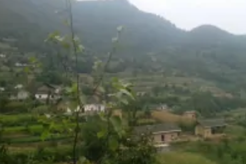 高爐坪村 高爐坪村