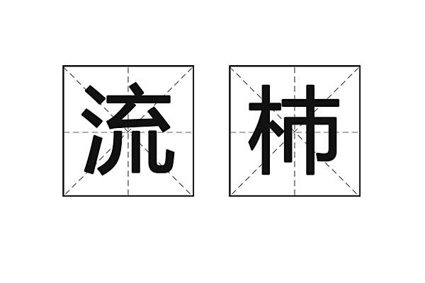 流杮