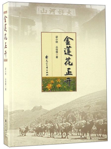 金蓮花正開 金蓮花正開